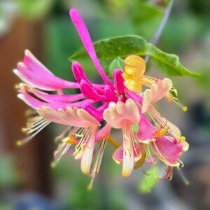 Meet your Poshers, Lauren & Linda